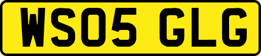 WS05GLG