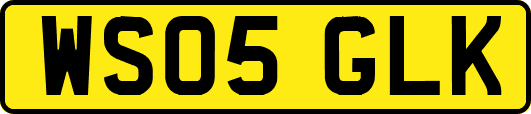 WS05GLK
