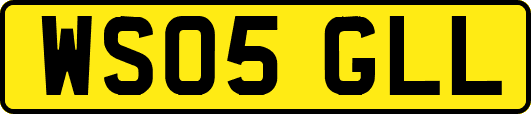 WS05GLL