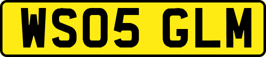 WS05GLM