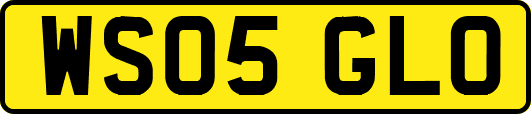 WS05GLO
