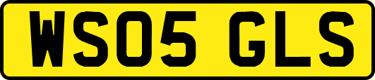 WS05GLS