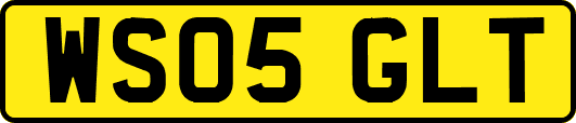 WS05GLT