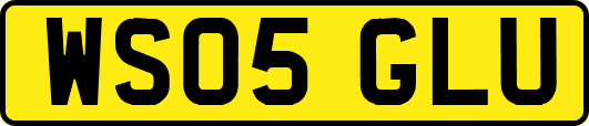 WS05GLU