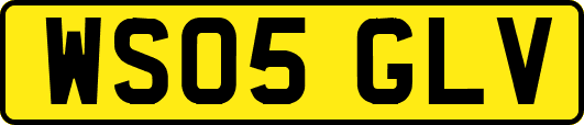 WS05GLV