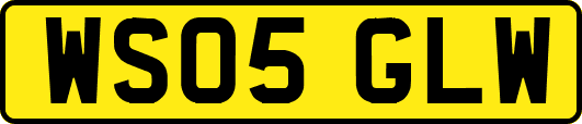 WS05GLW