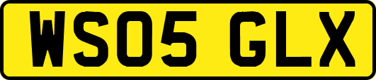 WS05GLX