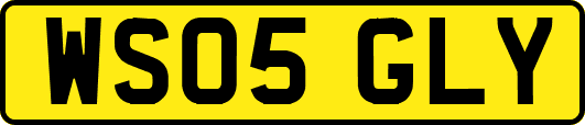 WS05GLY
