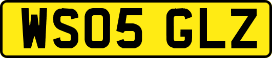WS05GLZ