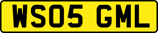 WS05GML
