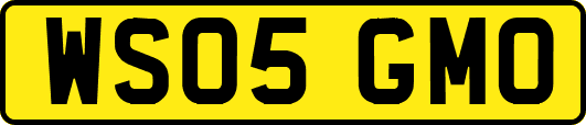 WS05GMO