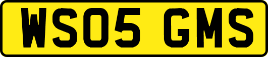 WS05GMS