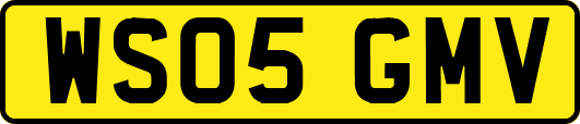WS05GMV