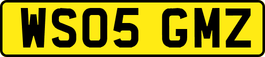 WS05GMZ