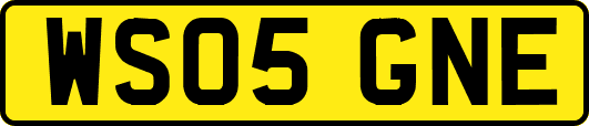 WS05GNE