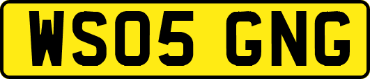 WS05GNG