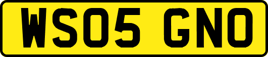WS05GNO
