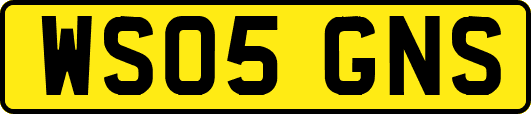 WS05GNS