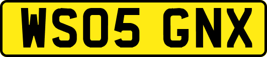 WS05GNX