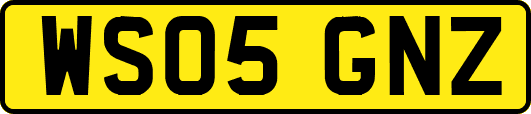 WS05GNZ