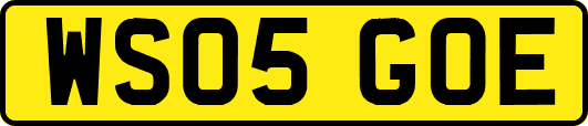 WS05GOE