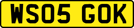 WS05GOK