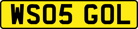 WS05GOL
