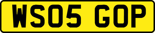 WS05GOP