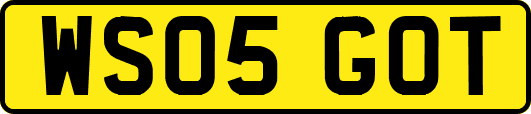 WS05GOT