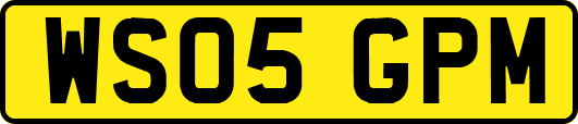 WS05GPM