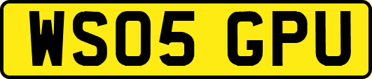 WS05GPU