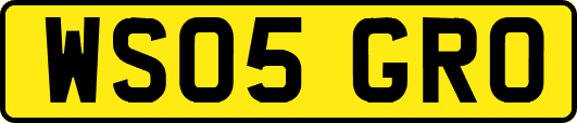 WS05GRO
