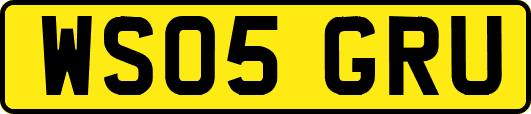 WS05GRU