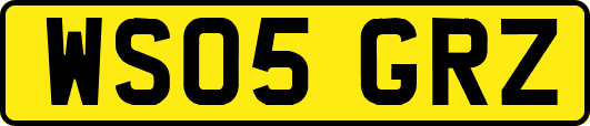 WS05GRZ