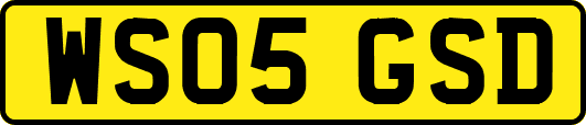 WS05GSD