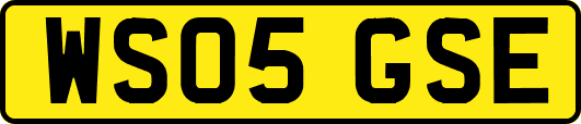 WS05GSE
