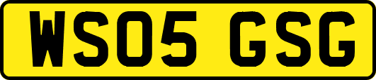 WS05GSG