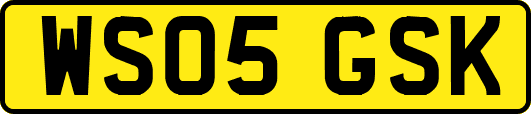 WS05GSK