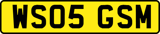 WS05GSM