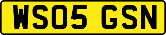 WS05GSN