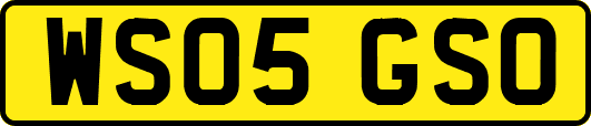 WS05GSO