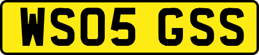 WS05GSS