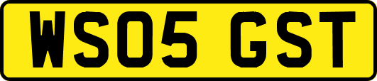 WS05GST