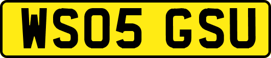 WS05GSU