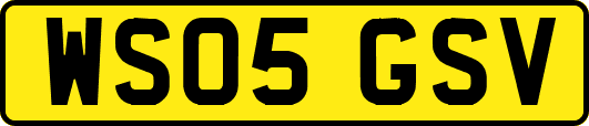 WS05GSV