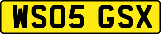 WS05GSX