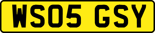 WS05GSY