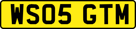 WS05GTM