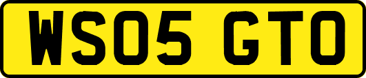 WS05GTO