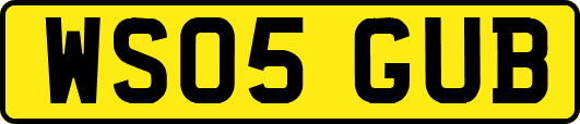 WS05GUB
